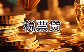 韶关税票贷